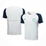 Maglia de Allenamento Ajax 2023-2024 Verde