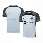 Maglia de Allenamento FC Barcellona 2023-2024 Grigio