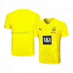 Maglia de Allenamento Borussia Dortmund 2023-2024 Giallo